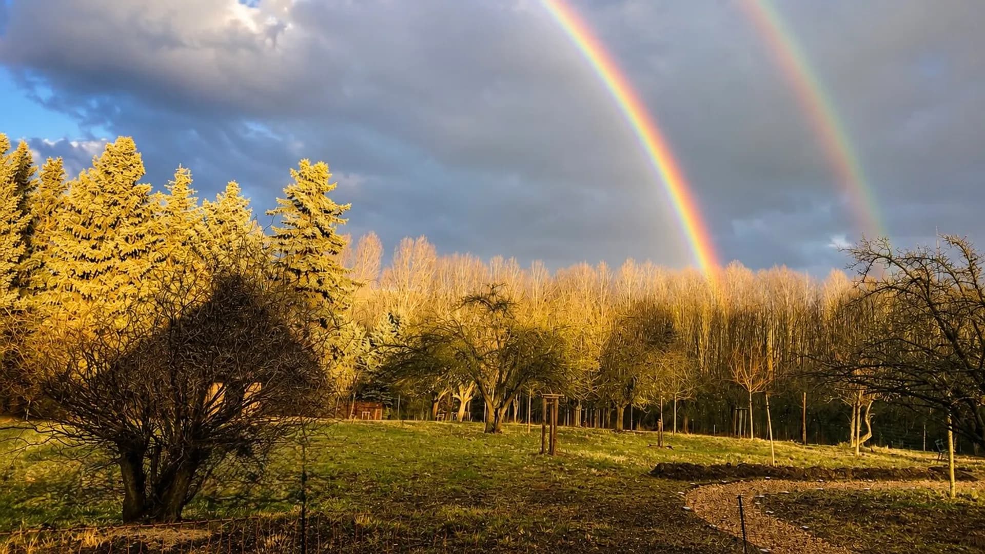 Doppelter Regenbogen über blühender Streuobstwiese