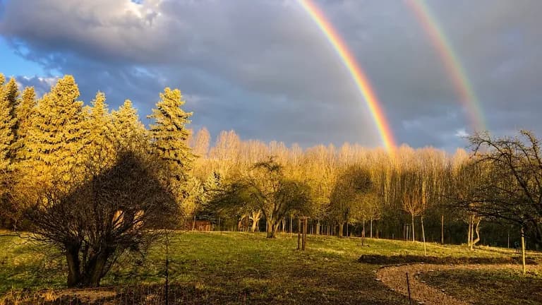 Doppelter Regenbogen über blühender Streuobstwiese